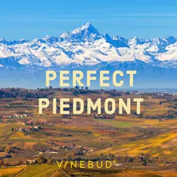 Image of Perfect Piedmont